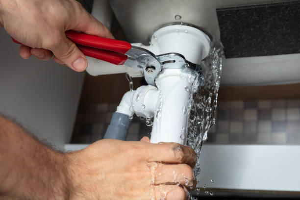 Best Flood restoration services  in Larimore, ND