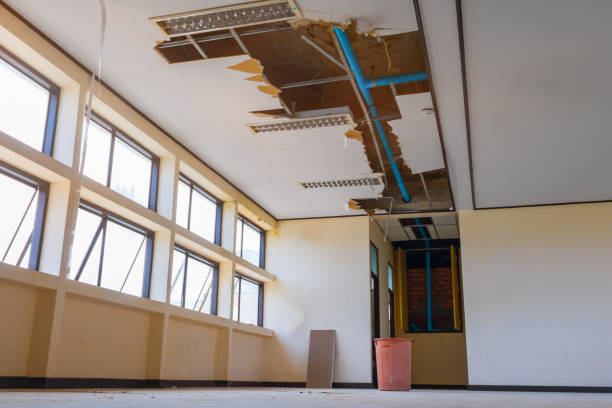  Larimore, ND Water damage restoration Pros