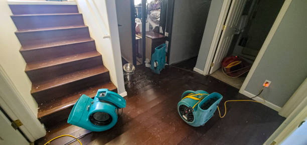 Best Sewage cleanup and water damage restoration  in Larimore, ND