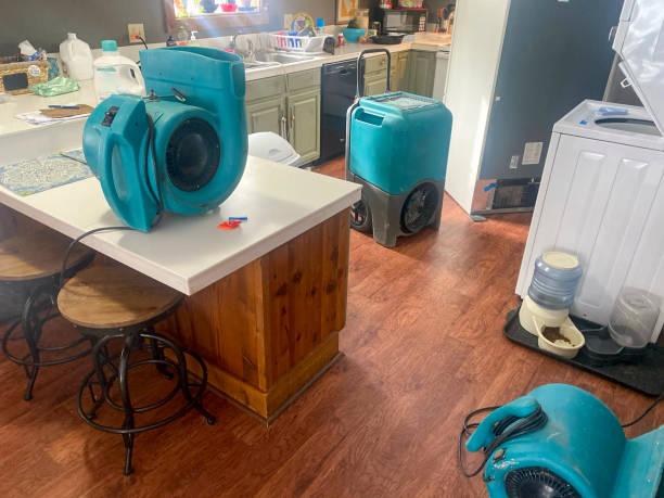 Trusted Larimore, ND Water damage restoration Experts