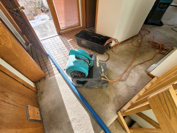 Best Water damage restoration near me  in Larimore, ND