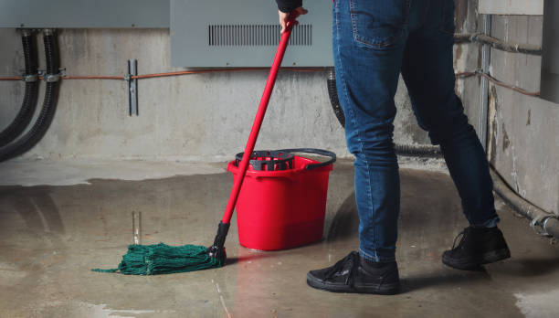 Best Emergency water damage restoration  in Larimore, ND