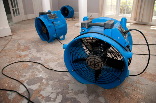 Fire Damage Restoration in Larimore, ND