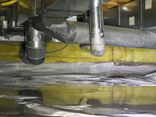Best Flood damage cleanup  in Larimore, ND