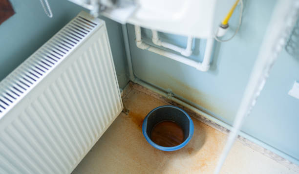 Best Water damage restoration process  in Larimore, ND