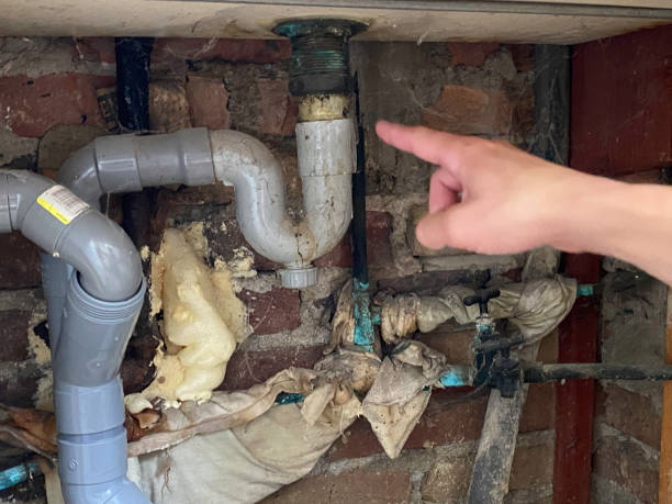 Best Mold removal after water damage  in Larimore, ND
