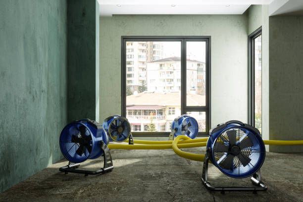 Best Professional water damage repair  in Larimore, ND